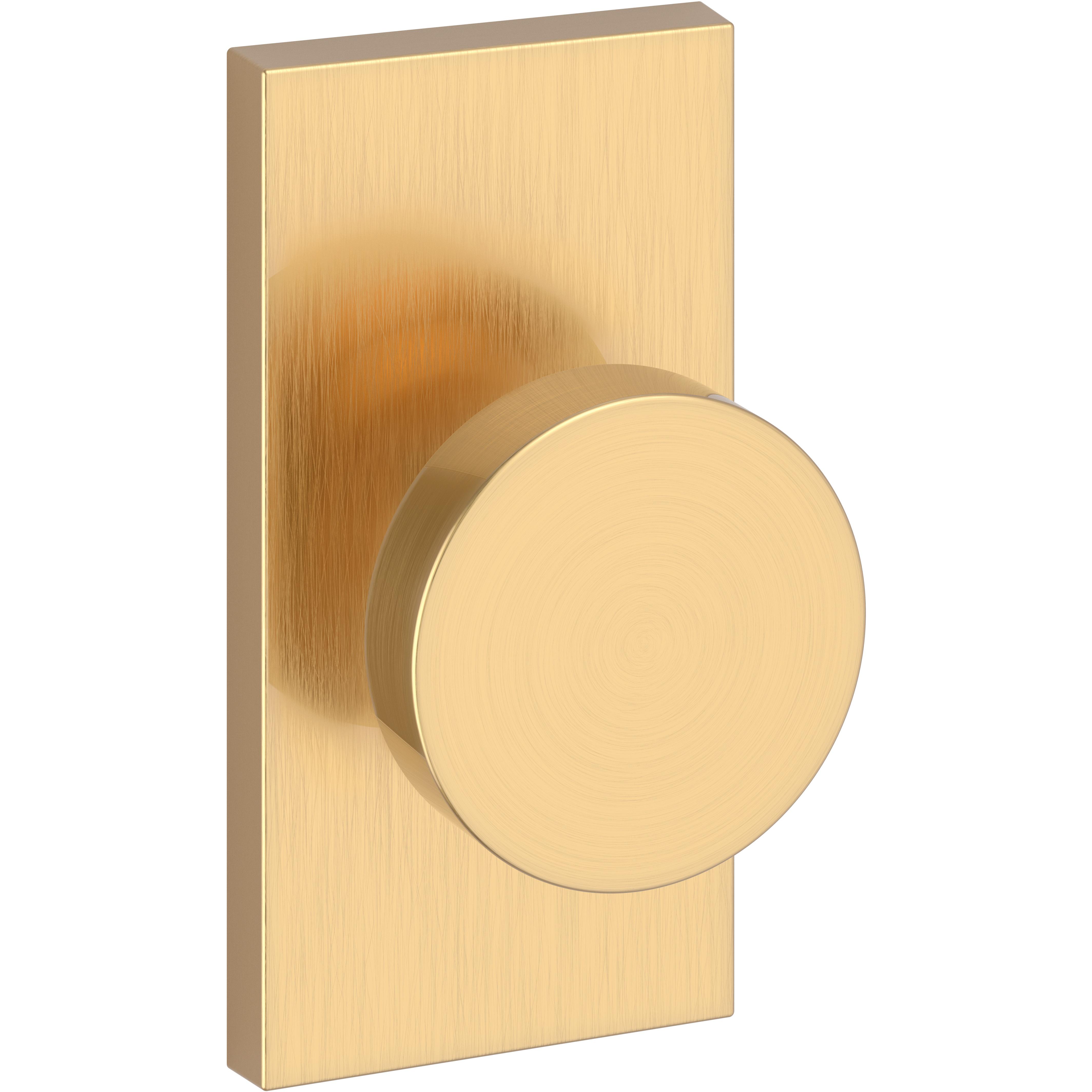 Contemporary / Contemporary 5" Rose - Satin Brass