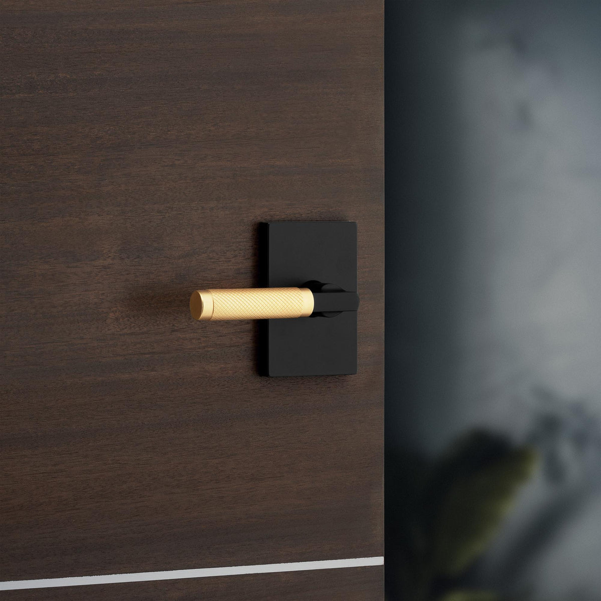 730PVL RCT 514/4 6AL RCS Prava Privacy - Matte Black with Satin Brass