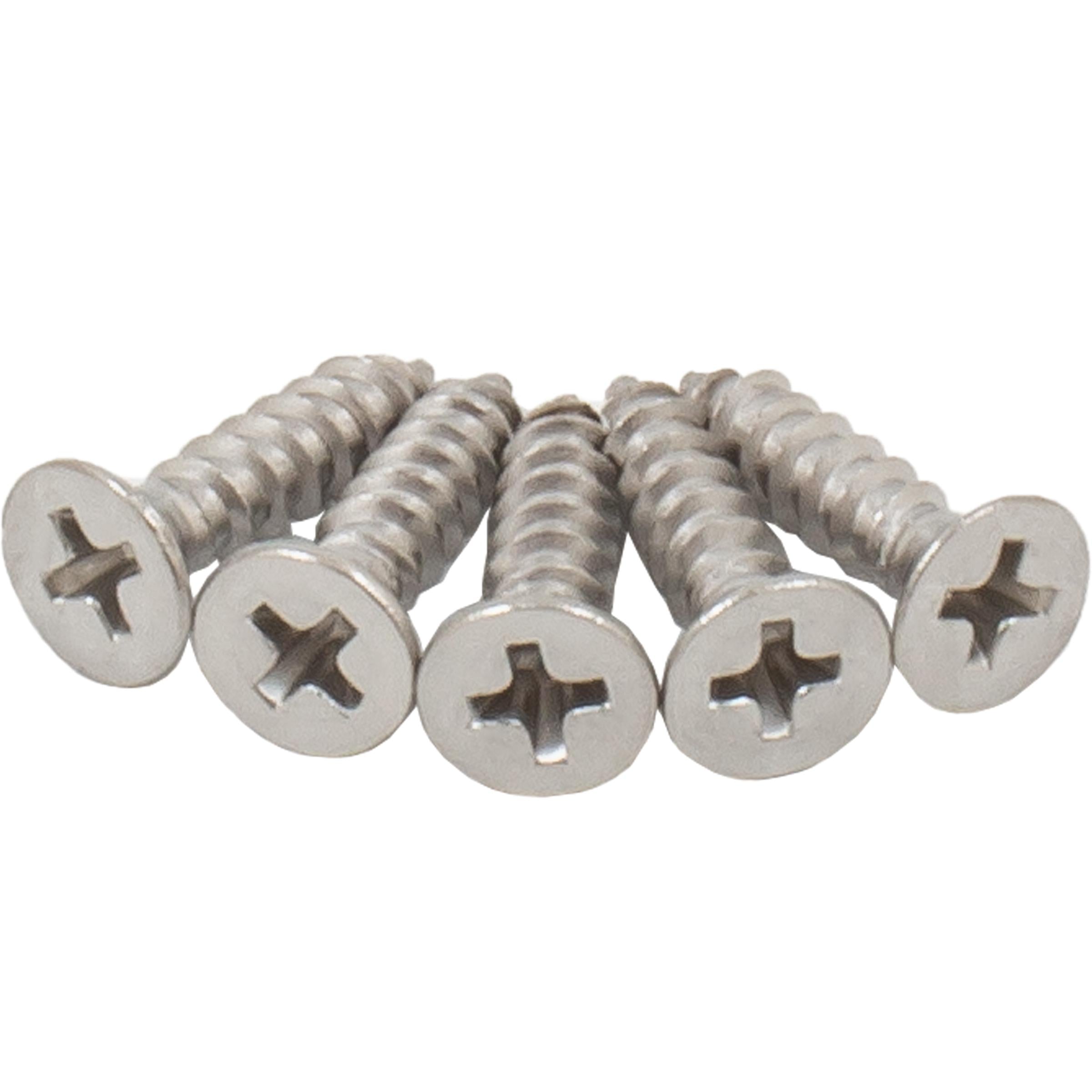 Door Hinge Screws, #9 x 1"