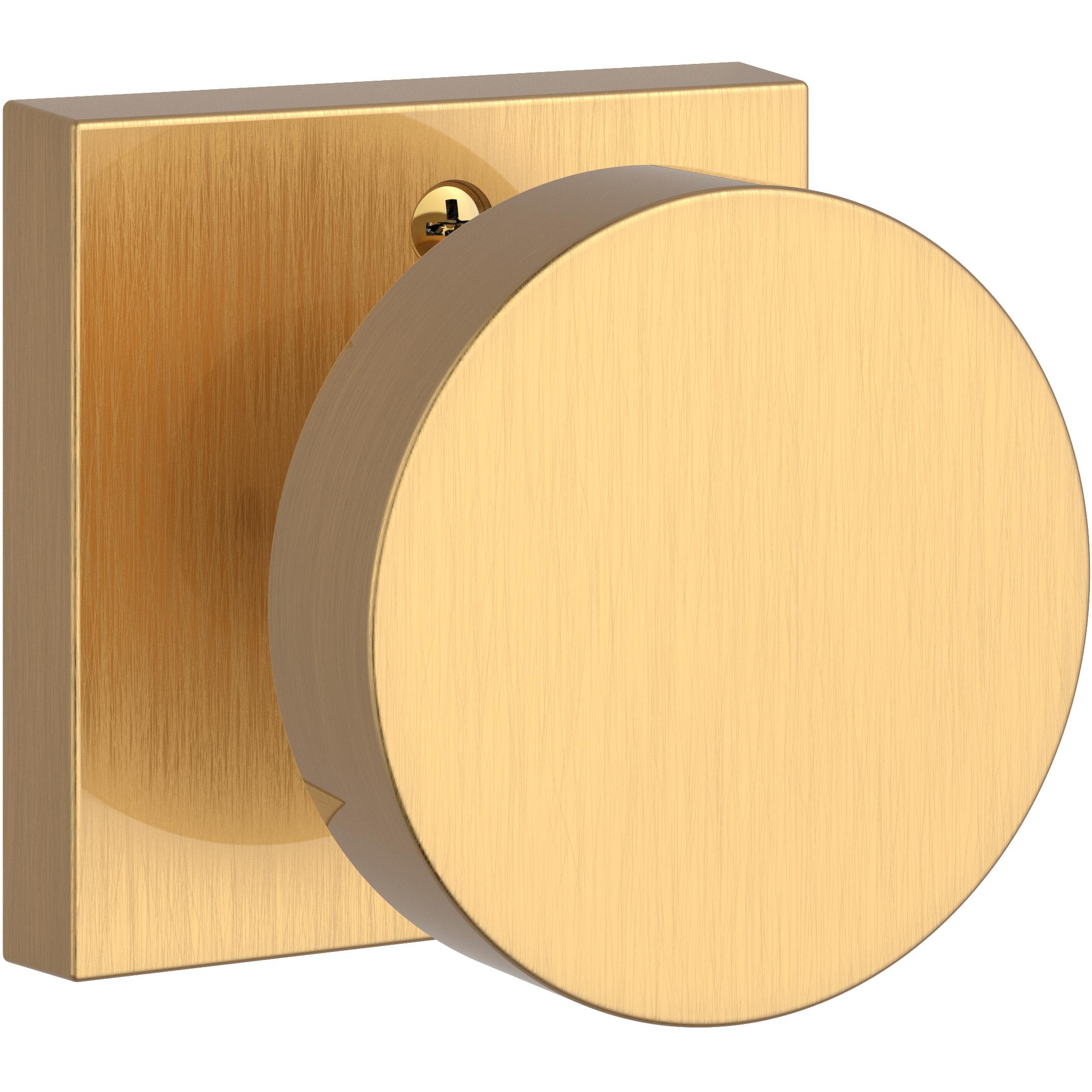 Contemporary / Square - Satin Brass