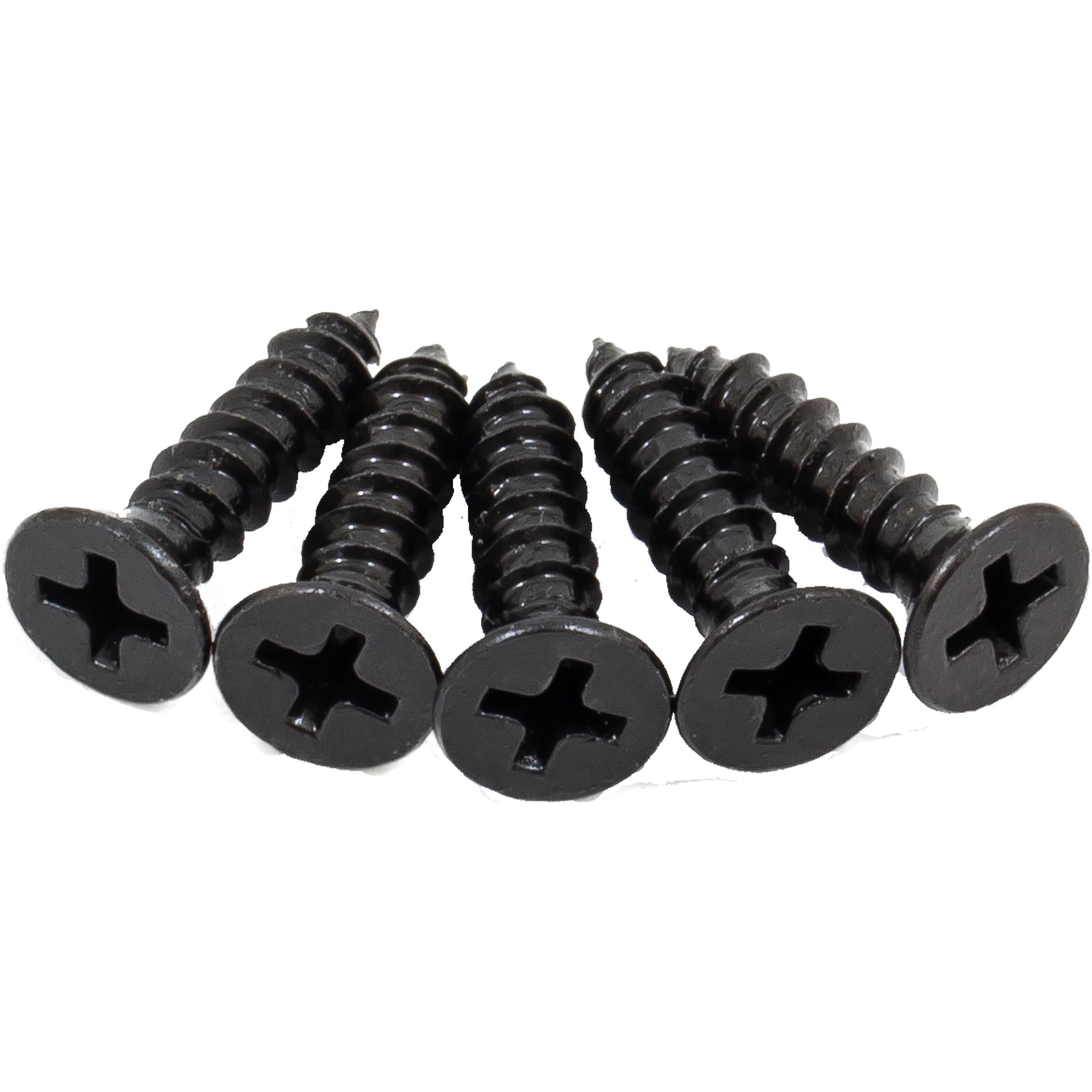 Door Hinge Screws